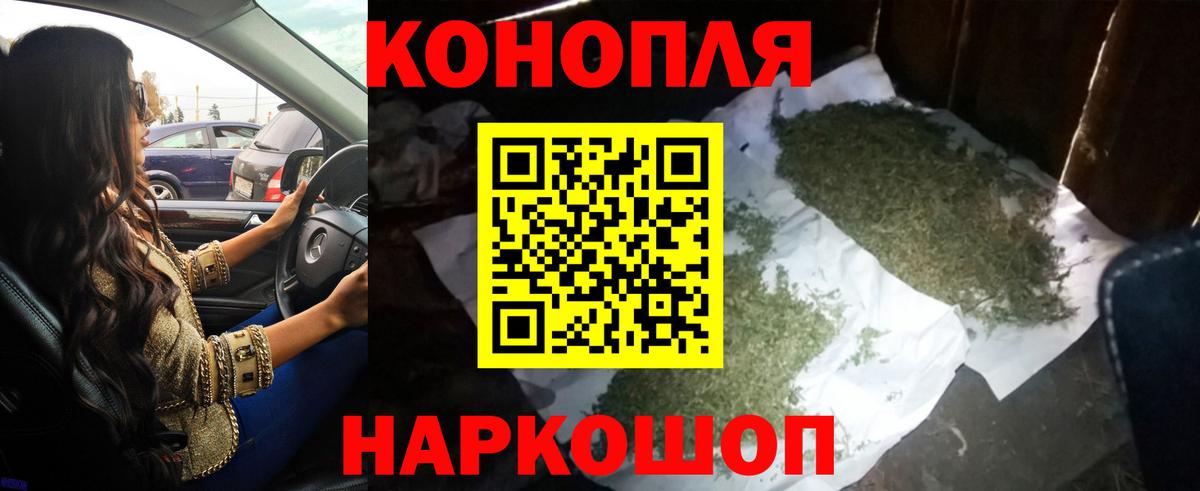 Канабис планчик Сухой Лог